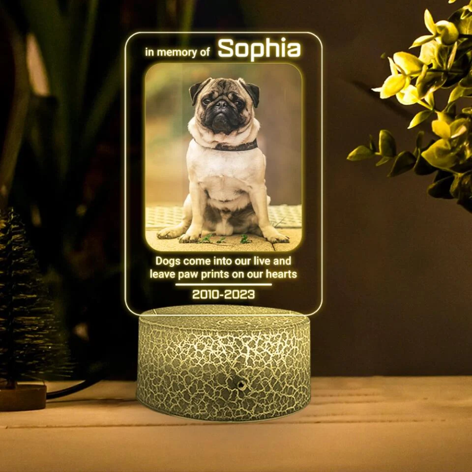 Dogs Come Into Our Live Personalized Led Light Memorial Gifts - Image 4