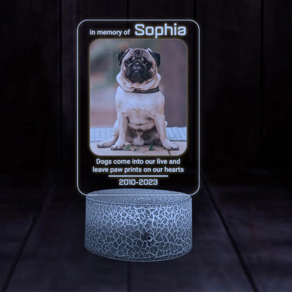 Dogs Come Into Our Live Personalized Led Light Memorial Gifts - Image 5
